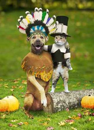 Happy-Thanksgiving