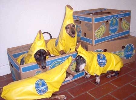 bananas