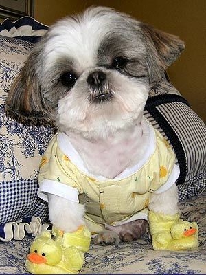 image007