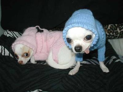 image017