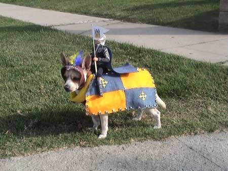 knight
