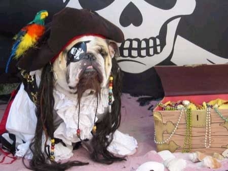 pirate2