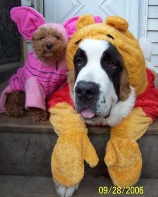 pooh-piglet