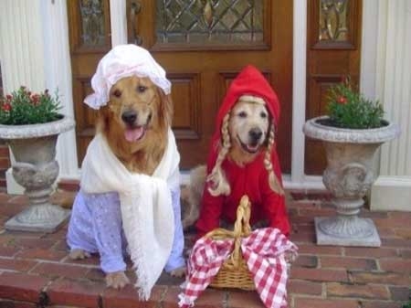 redridinghood-grandma