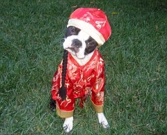chinese