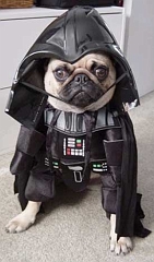 darth-vader