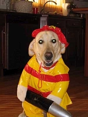 fireman