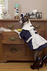french-maid
