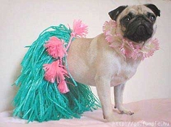 hula