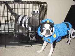 prisoner